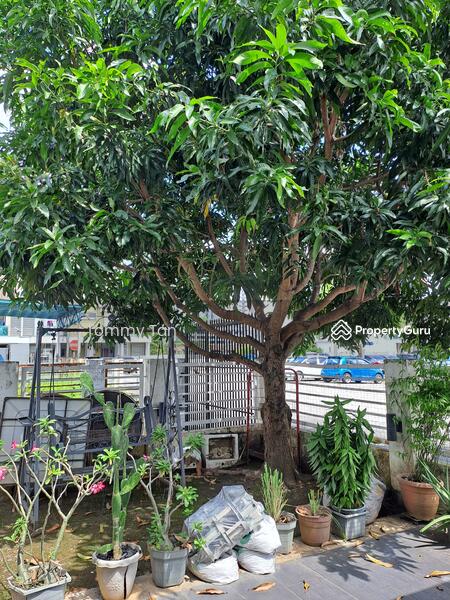 For Sale - Pearl Villa