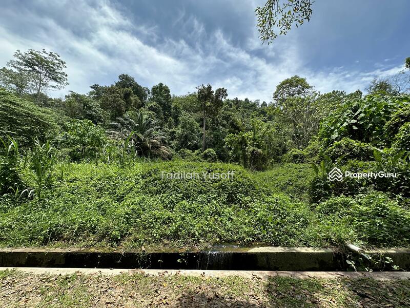 For Sale - Twin Palms @ Kemensah