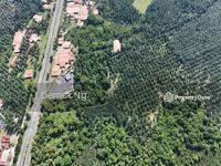 For Sale - Semeling To Lembah Bujang Agricultural Land