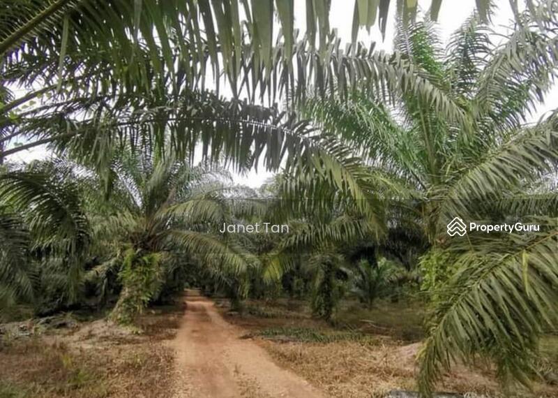 For Sale - Pontian Kampung Jawa Agriculture Land