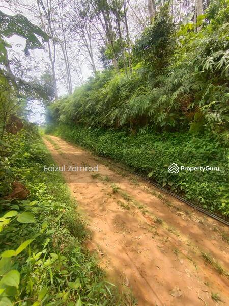 For Sale - Sungai Lui Hulu Langat