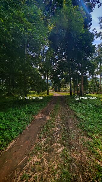 For Sale - Sungai Lui Hulu Langat