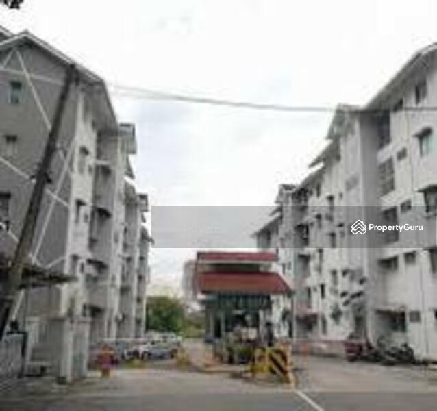 Untuk Dijual - Lily & Rose