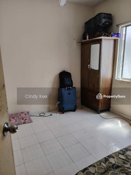 Untuk Dijual - Lily & Rose