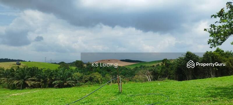For Sale - Kota Tinggi , Johor