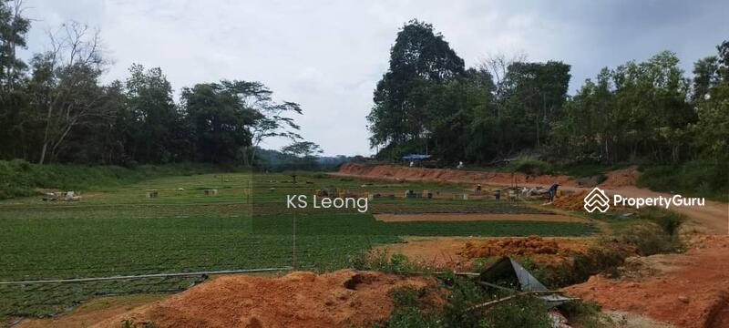 For Sale - Kota Tinggi , Johor