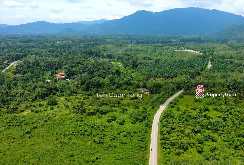Tanah Pertanian untuk Dijual di Kampung Baru Simpang Empat (Baling) - Teh Guan Fong - PropertyGuru.com.my
