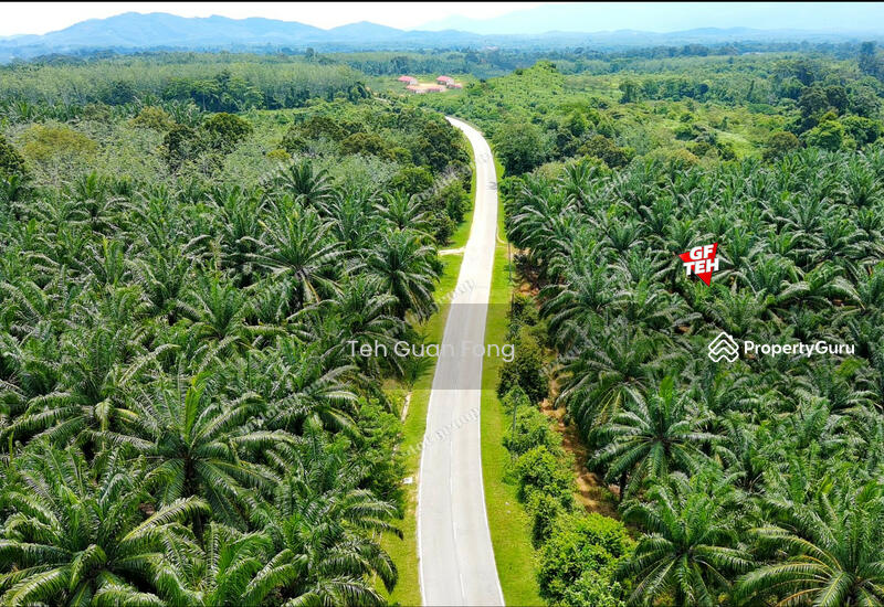 Tanah Pertanian untuk Dijual di Kampung Baru Simpang Empat (Baling) - Teh Guan Fong - PropertyGuru.com.my