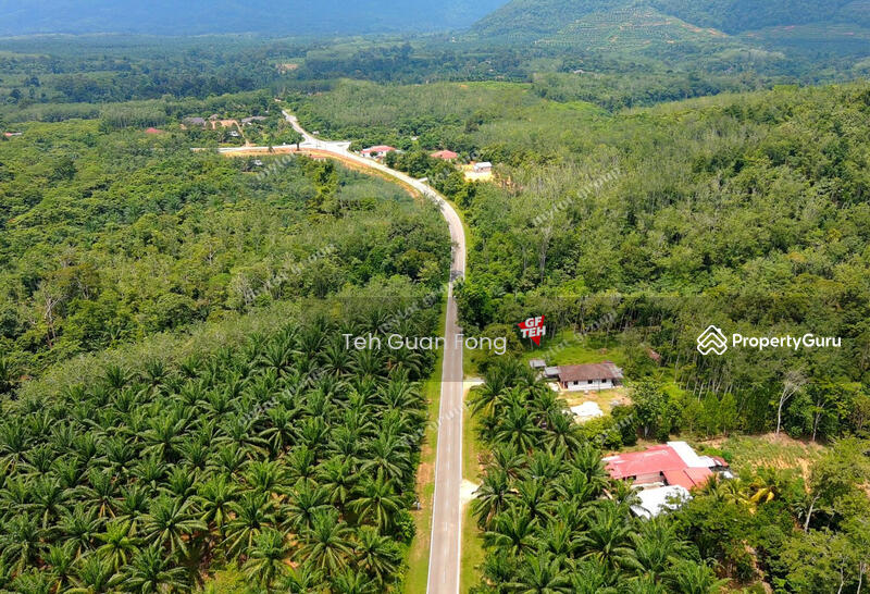 Tanah Pertanian untuk Dijual di Kampung Baru Simpang Empat (Baling) - Teh Guan Fong - PropertyGuru.com.my