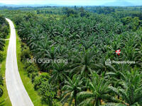 For Sale - 12.61 acres Main road Agricultural Land Baling Kedah Rm3.19psf