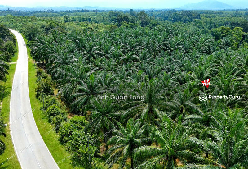 Tanah Pertanian untuk Dijual di Kampung Baru Simpang Empat (Baling) - Teh Guan Fong - PropertyGuru.com.my