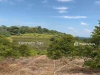 For Sale - Durian Orchard @ Raub Pahang