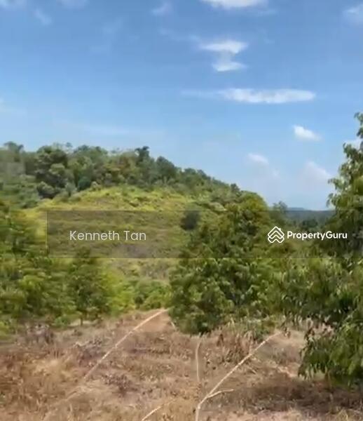 For Sale - Durian Orchard @ Raub Pahang