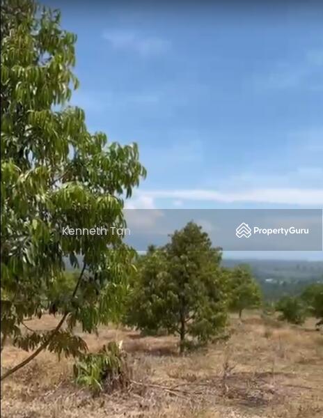 For Sale - Durian Orchard @ Raub Pahang