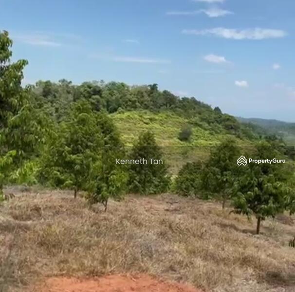 For Sale - Durian Orchard @ Raub Pahang