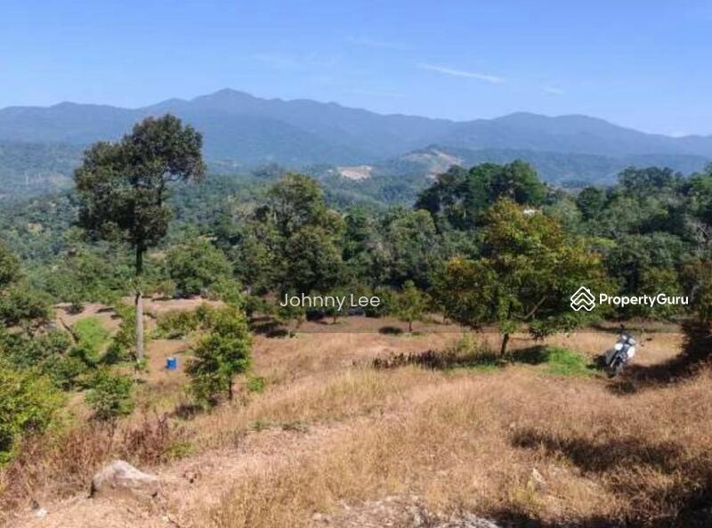 Bentong Pahang durian farm untuk Untuk Dijual - RM 3,850,000, Apr 2026 - PropertyGuru.com.my