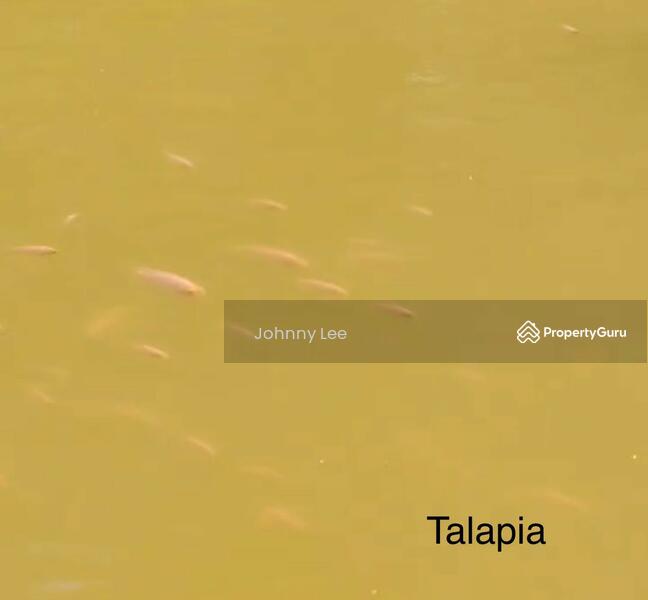 Bentong Pahang durian farm untuk Untuk Dijual - RM 3,850,000, Apr 2026 - PropertyGuru.com.my