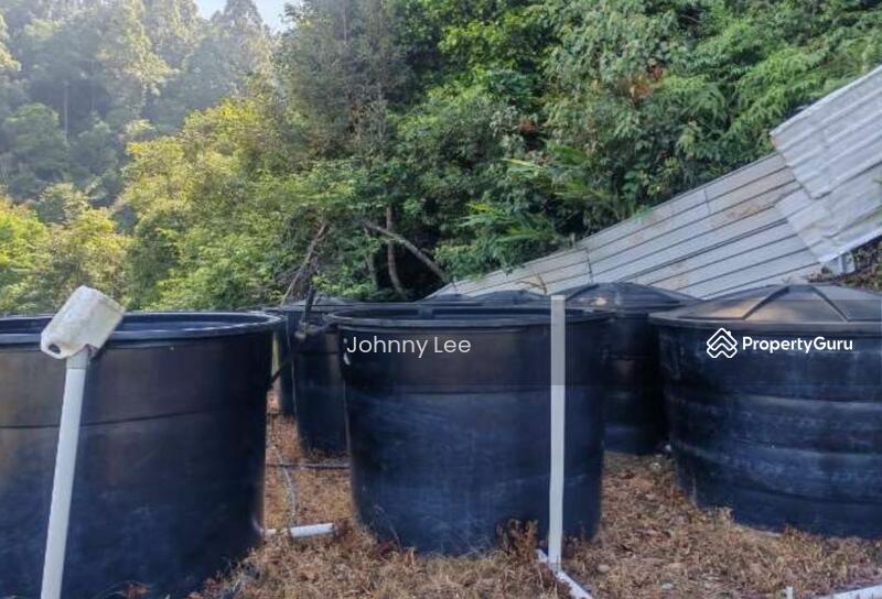 Bentong Pahang durian farm untuk Untuk Dijual - RM 3,850,000, Apr 2026 - PropertyGuru.com.my