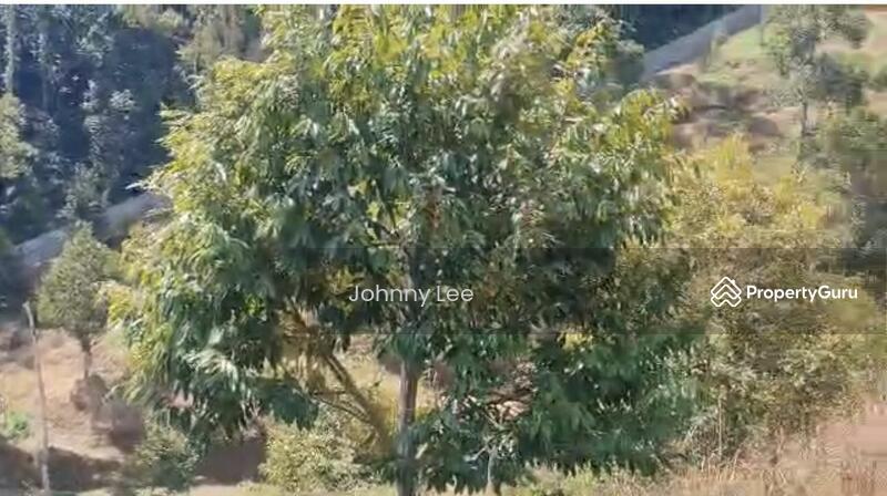 Bentong Pahang durian farm untuk Untuk Dijual - RM 3,850,000, Apr 2026 - PropertyGuru.com.my