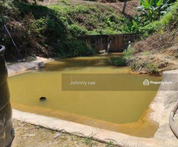 Agricultural Land for Sale in Kampung Batu 1 (Temerloh) - Johnny Lee - PropertyGuru.com.my