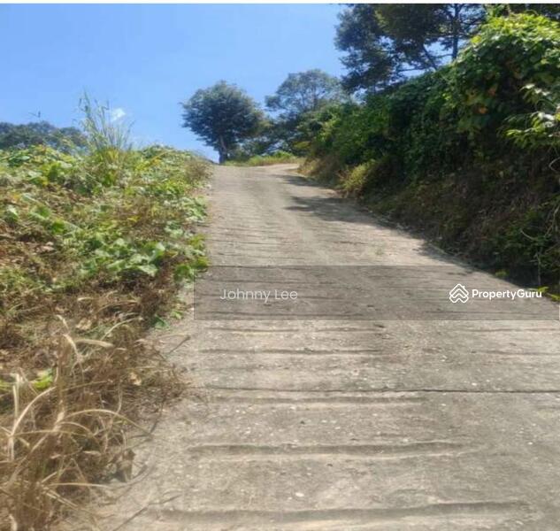 Agricultural Land for Sale in Kampung Batu 1 (Temerloh) - Johnny Lee - PropertyGuru.com.my