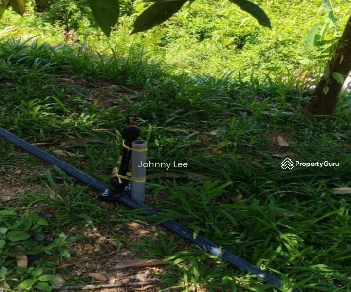 Agricultural Land for Sale in Kampung Batu 1 (Temerloh) - Johnny Lee - PropertyGuru.com.my