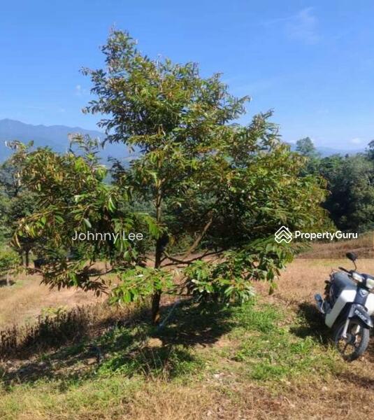 Bentong Pahang durian farm untuk Untuk Dijual - RM 3,850,000, Apr 2026 - PropertyGuru.com.my