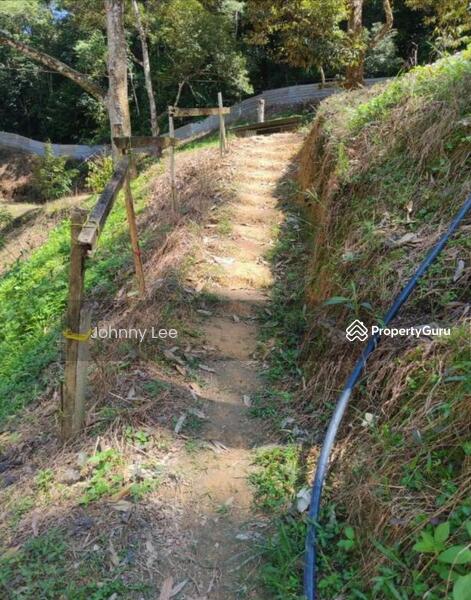 Bentong Pahang durian farm untuk Untuk Dijual - RM 3,850,000, Apr 2026 - PropertyGuru.com.my