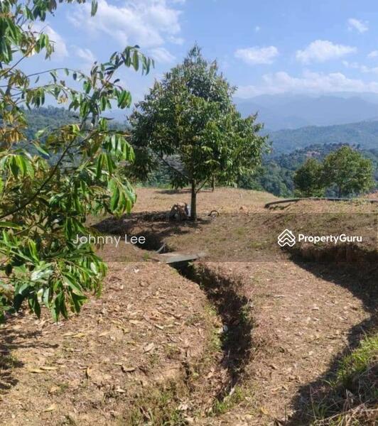 Bentong Pahang durian farm untuk Untuk Dijual - RM 3,850,000, Apr 2026 - PropertyGuru.com.my