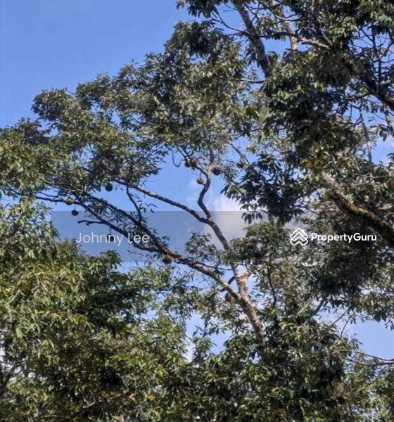 Bentong Pahang durian farm untuk Untuk Dijual - RM 3,850,000, Apr 2026 - PropertyGuru.com.my