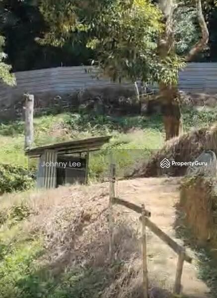 Agricultural Land for Sale in Kampung Batu 1 (Temerloh) - Johnny Lee - PropertyGuru.com.my