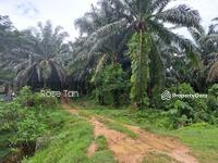 For Sale - Agricultural Land at Kuala Sawah