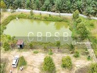 For Sale - Chamek ,Paloh