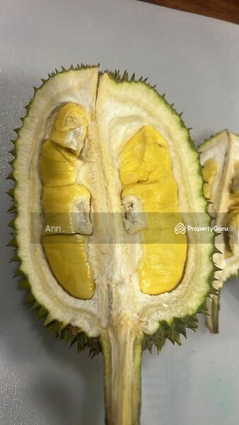 For Sale - Residential Land at Kampung Rantau