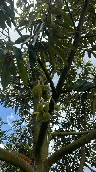 For Sale - Residential Land at Kampung Rantau