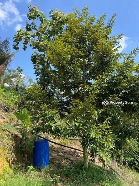 For Sale - Residential Land at Kampung Rantau