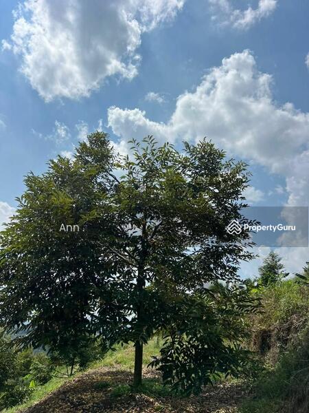 For Sale - Residential Land at Kampung Rantau