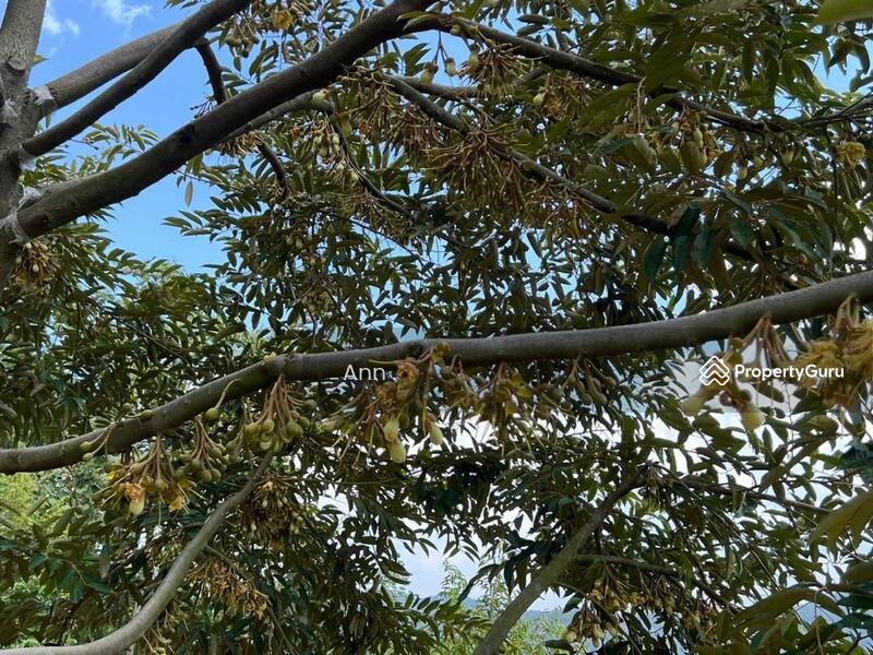 For Sale - Residential Land at Kampung Rantau