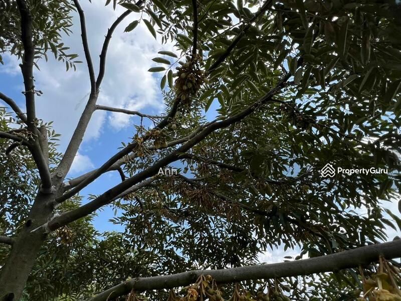 For Sale - Residential Land at Kampung Rantau