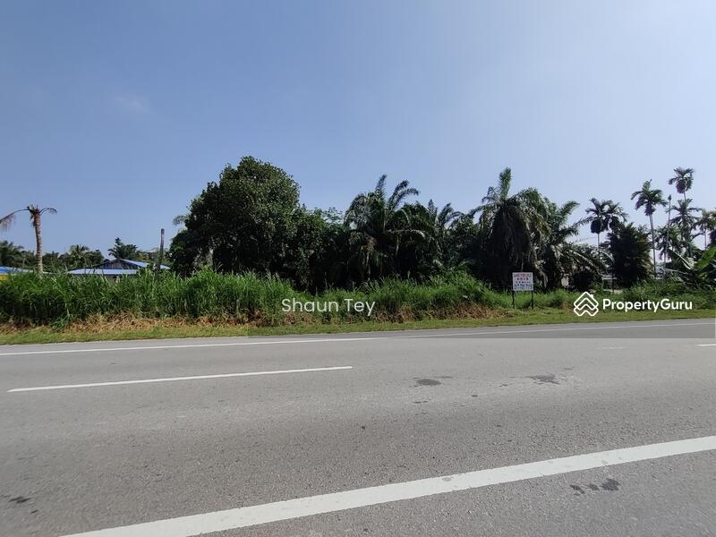 Agricultural Land for Sale in Kampung Rimba Terjun (Pontian) - Shaun Tey - PropertyGuru.com.my