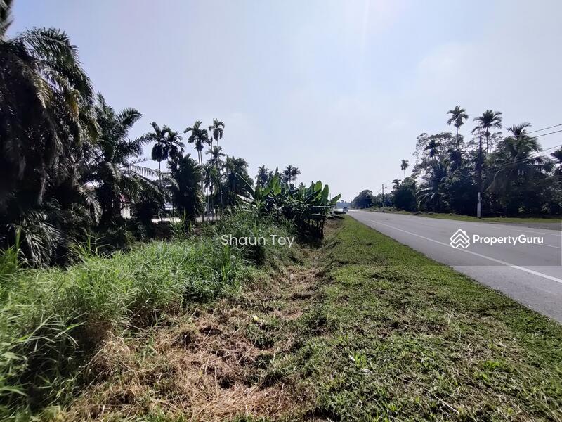 Agricultural Land for Sale in Kampung Rimba Terjun (Pontian) - Shaun Tey - PropertyGuru.com.my