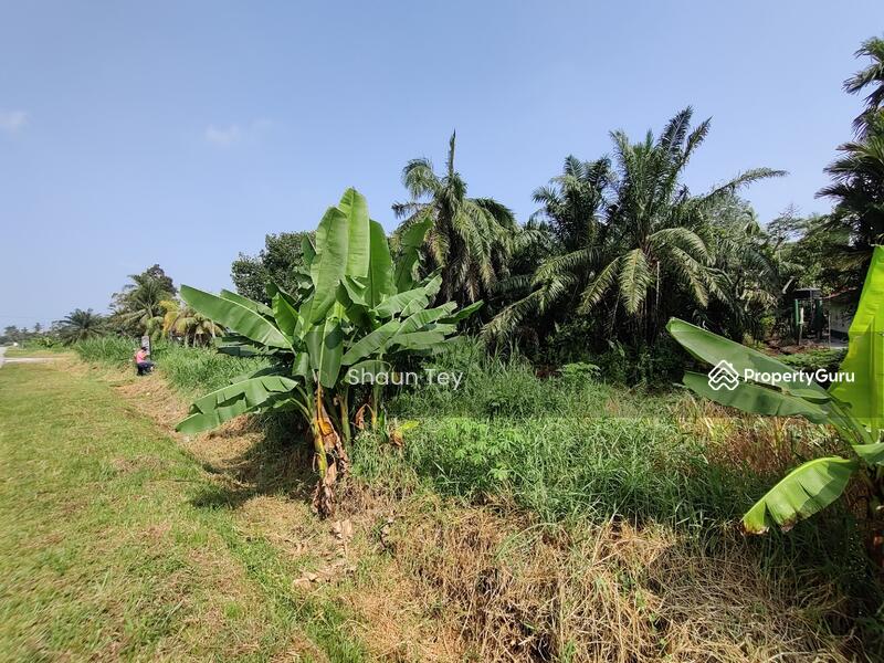 Agricultural Land for Sale in Kampung Rimba Terjun (Pontian) - Shaun Tey - PropertyGuru.com.my