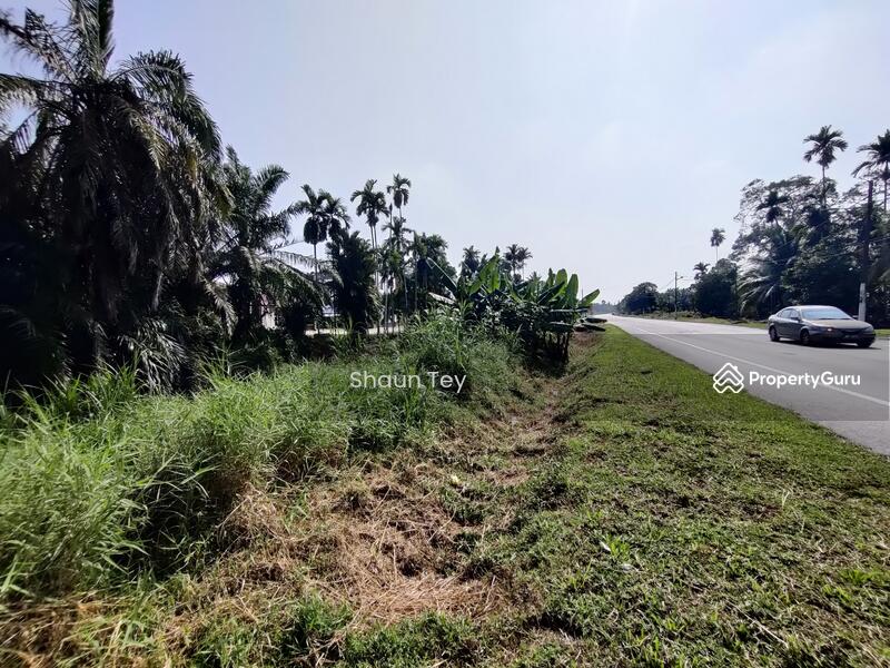 Agricultural Land for Sale in Kampung Rimba Terjun (Pontian) - Shaun Tey - PropertyGuru.com.my