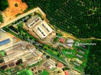 For Sale - Paya Mengkuang