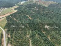 For Sale - Baling Tawar