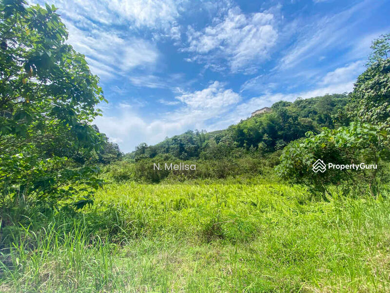 For Sale - Kampung Shafie, Mukim Pelangai, Bentong, Pahang