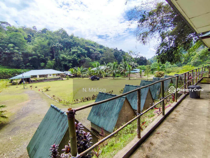 For Sale - Kampung Shafie, Mukim Pelangai, Bentong, Pahang