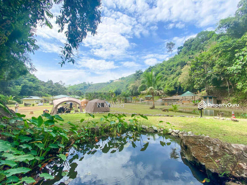 For Sale - Kampung Shafie, Mukim Pelangai, Bentong, Pahang