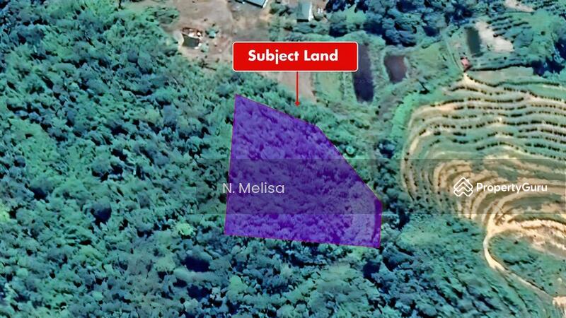 For Sale - Kampung Shafie, Mukim Pelangai, Bentong, Pahang