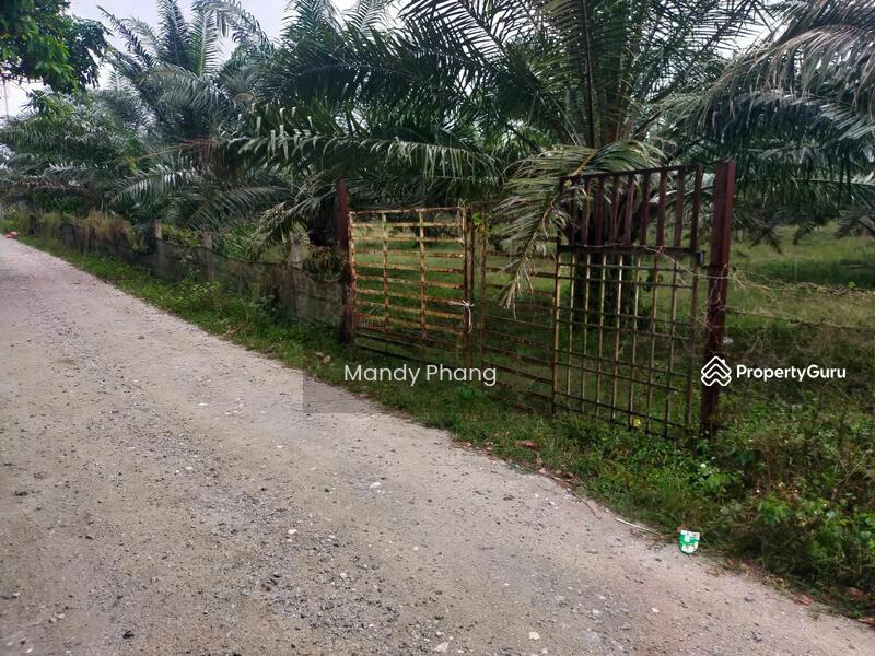 Untuk Dijual - Agricultural Land at Bandar Baru Siputeh